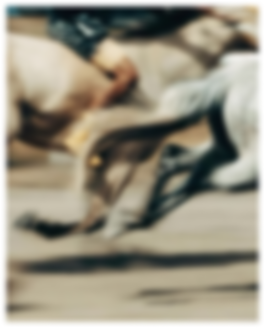 Turco Elegante app preview